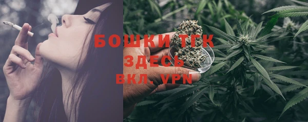 стаф Елабуга