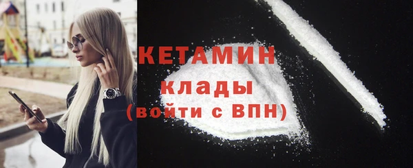 меф Ельня