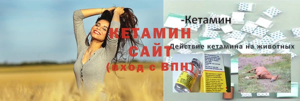 стаф Елабуга