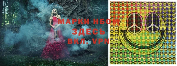 стаф Елабуга
