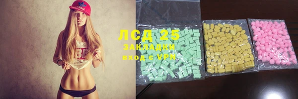 меф Ельня