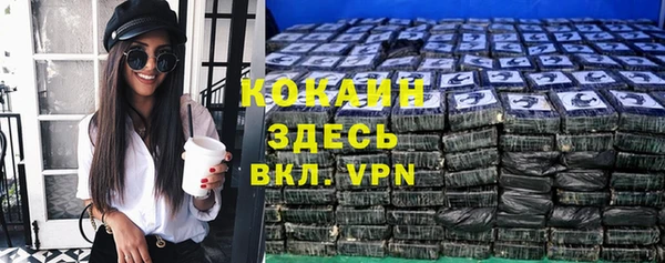 меф Ельня