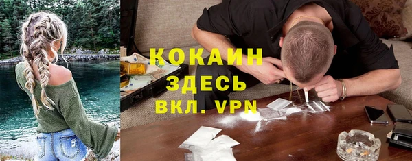метадон Елизово
