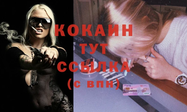 метадон Елизово