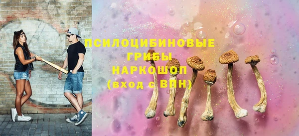 стаф Елабуга