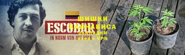 стаф Елабуга