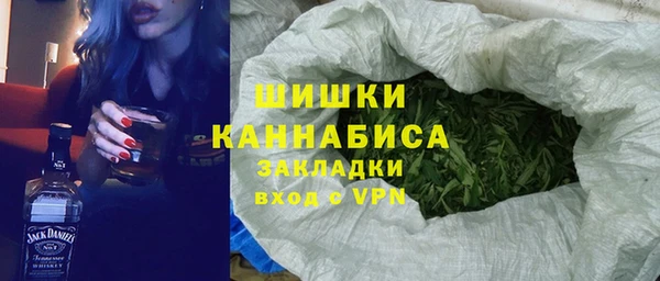 меф Ельня