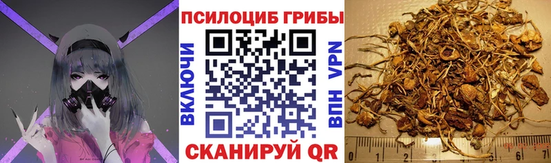 Галлюциногенные грибы ЛСД  Купить закладки  Малая Вишера 